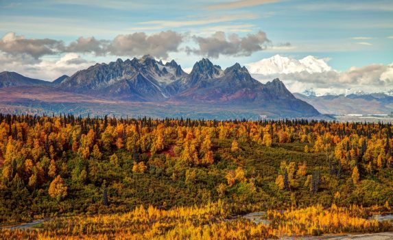 秋のアラスカの風景　アメリカの風景