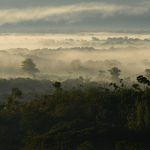 霧の朝のウアヤバンバ　ペルーの風景