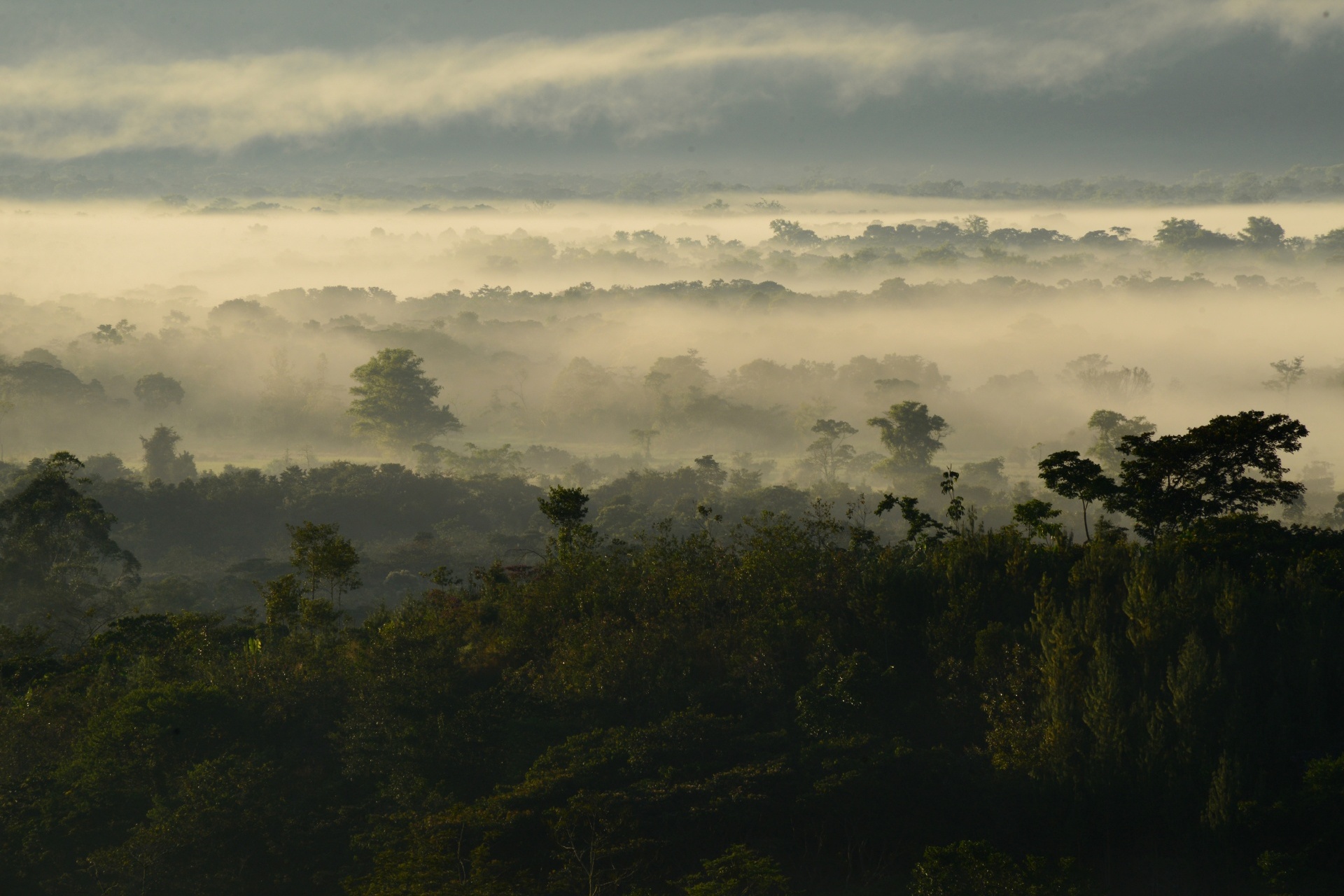 霧の朝のウアヤバンバ　ペルーの風景