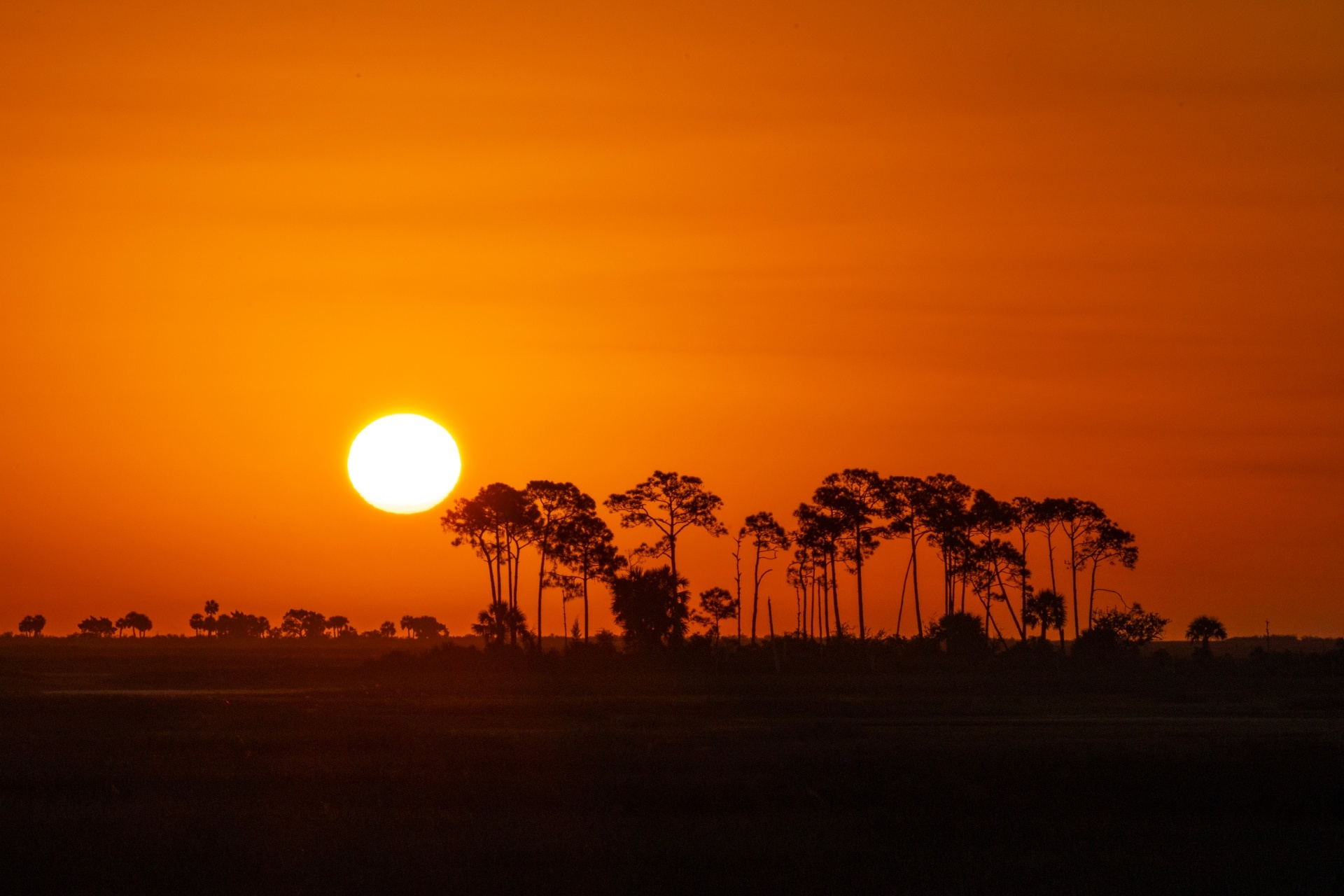 日の出の風景　ボツワナの風景