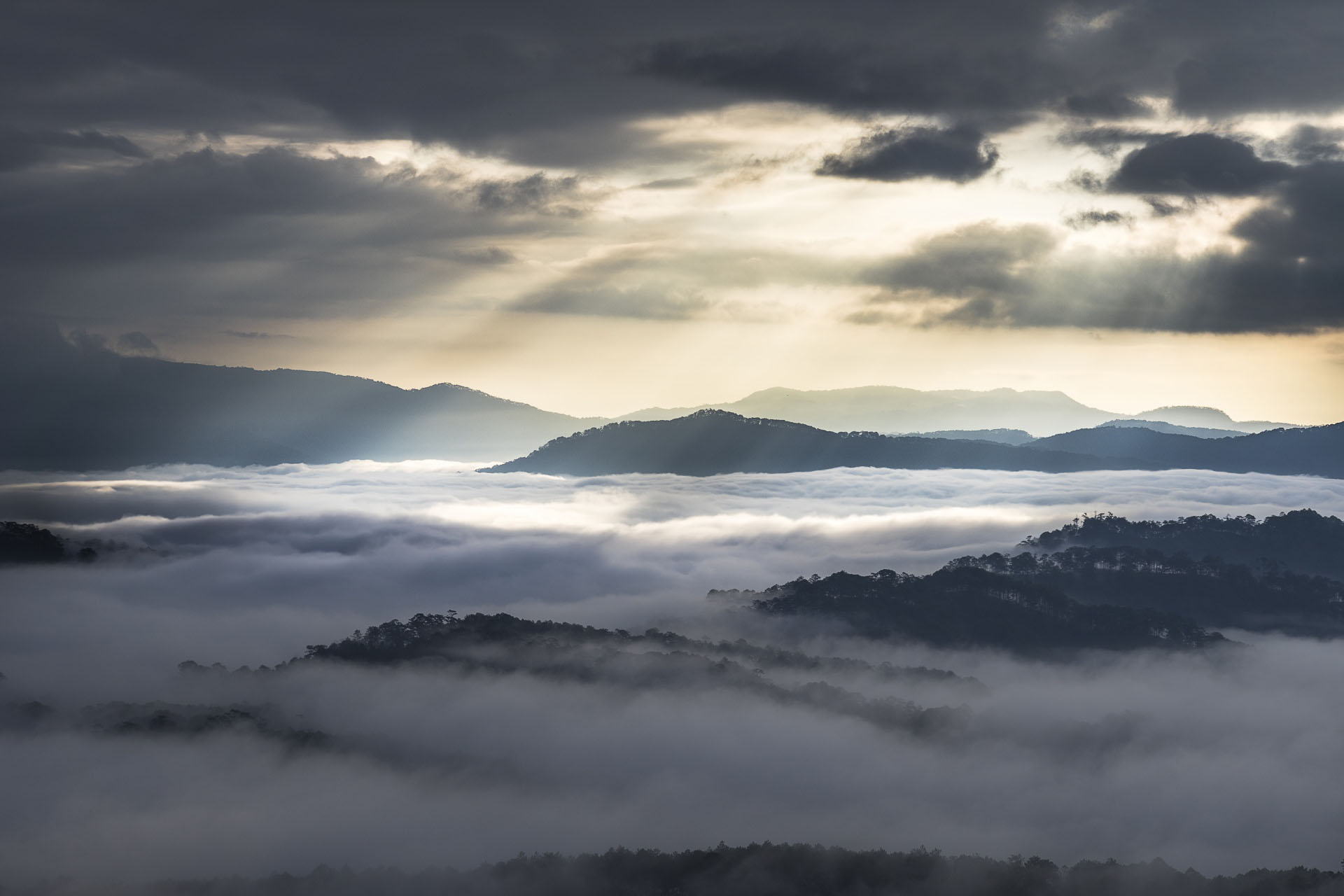 霧の朝の日の出の風景　ダラット　ベトナムの風景