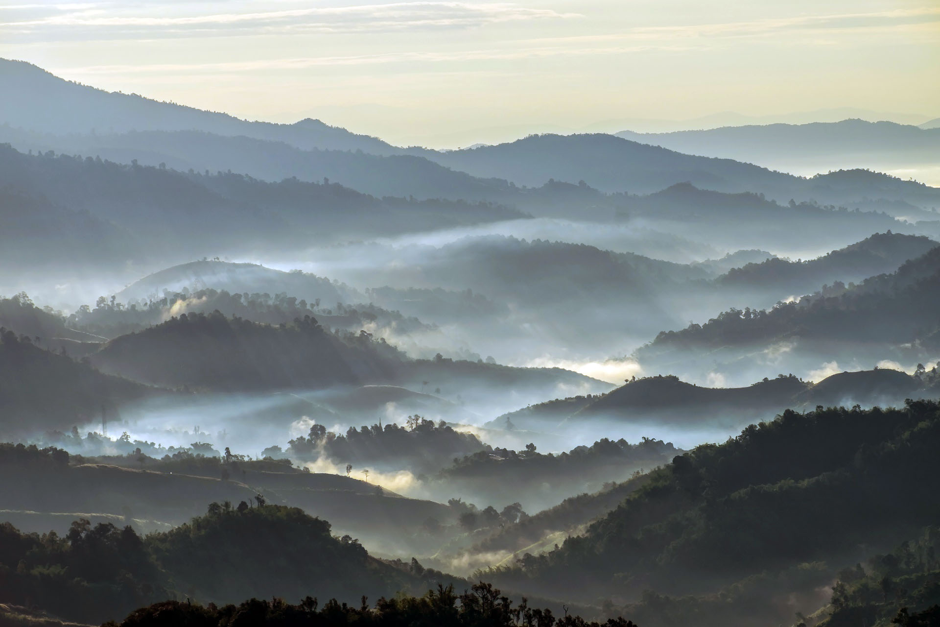 朝の太陽光線と冬の霧のドイ フゥアメーカムの風景　タイの風景　タイ　チェンライ県メーファールアン郡メーサロンナイ