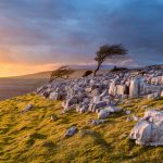 夕暮れのヨークシャー・デイルズの風景　イギリスの風景