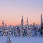 冬の夕暮れのラップランドの風景　フィンランドの風景