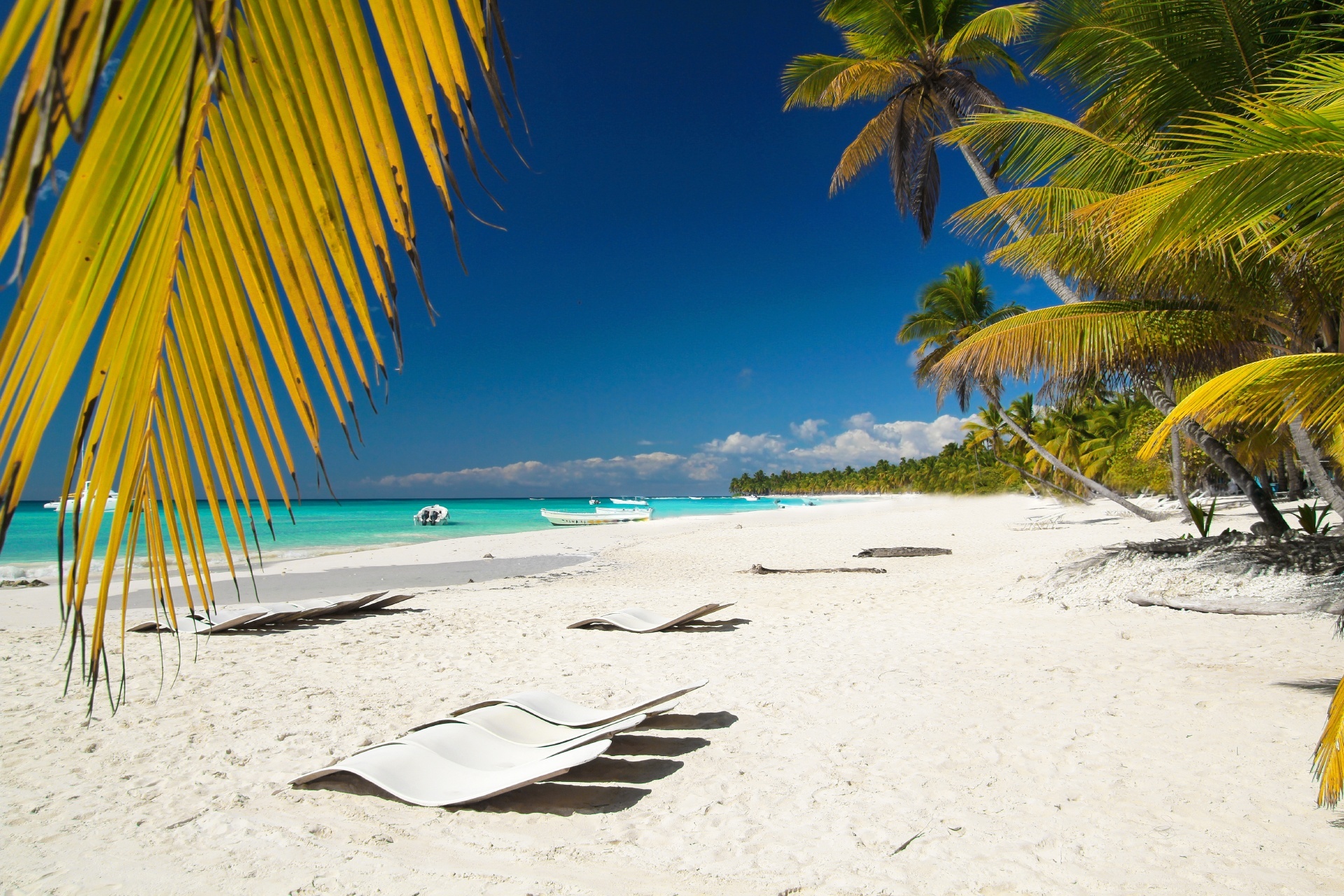 カリブ海のビーチの風景　ドミニカ共和国の風景