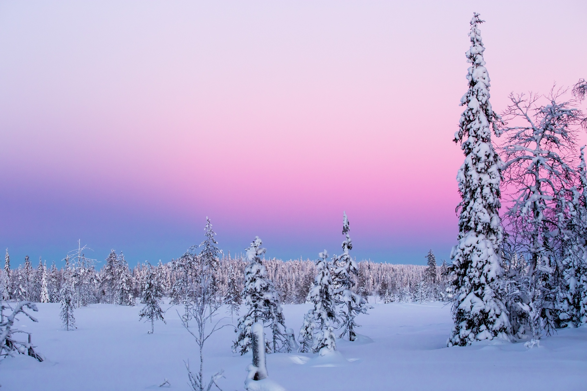 冬のラップランドの風景　フィンランドの風景