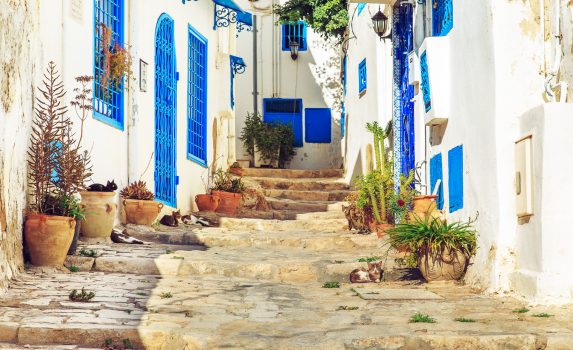 青と白の町　シディ・ブ・サイド　チュニジアの風景