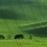 春の南モラヴィア　丘の風景　チェコの風景