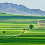 マチン山麓の風景　ルーマニアの風景