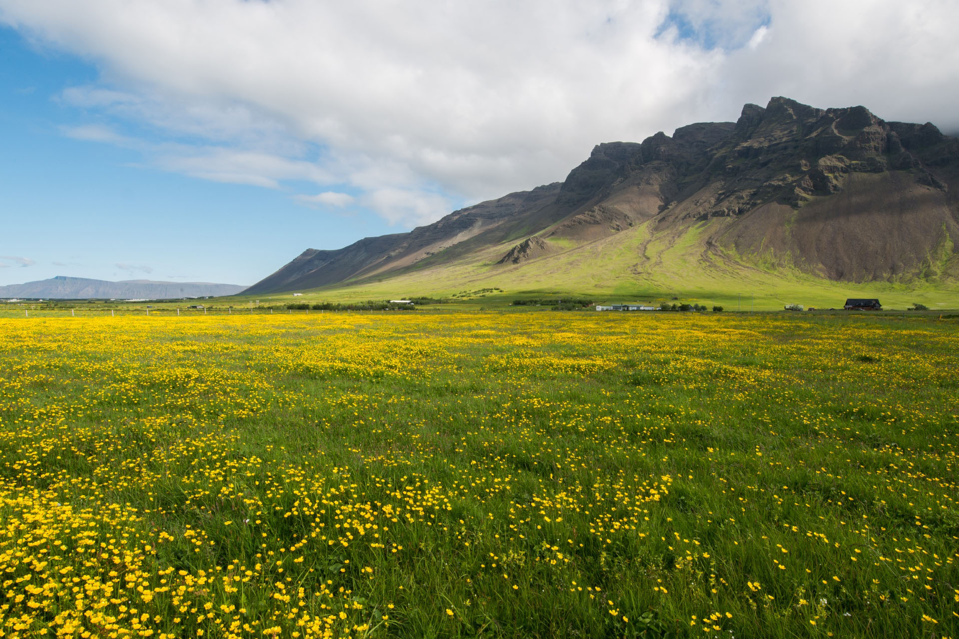 春のレイキャネス半島　アイスランドの風景