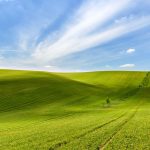 南モラヴィアの風景　チェコの風景