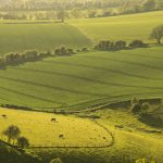 ハンプシャーの風景　イギリスの風景