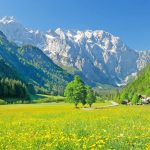 春の風景　スロベニアの風景