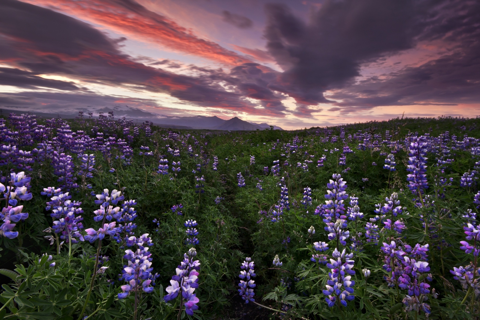 夕暮れの風景　アイスランドの風景