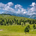 ヴェリカプラニナの風景　スロベニアの風景