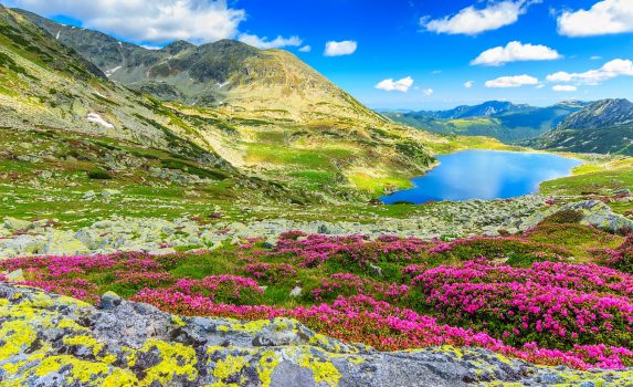 花々と氷河湖　カルパティア山脈の風景　ルーマニアの風景