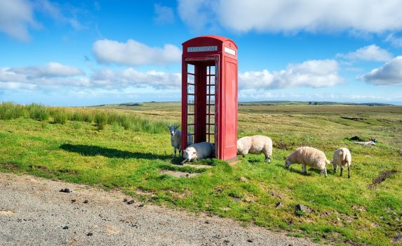 スカイ島　電話ボックスと羊の風景　スコットランドの風景