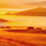 夕暮れの草原の風景　内モンゴル自治区　中国の風景