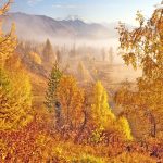 秋の朝の森とアルタイ山脈の風景　カザフスタンの風景