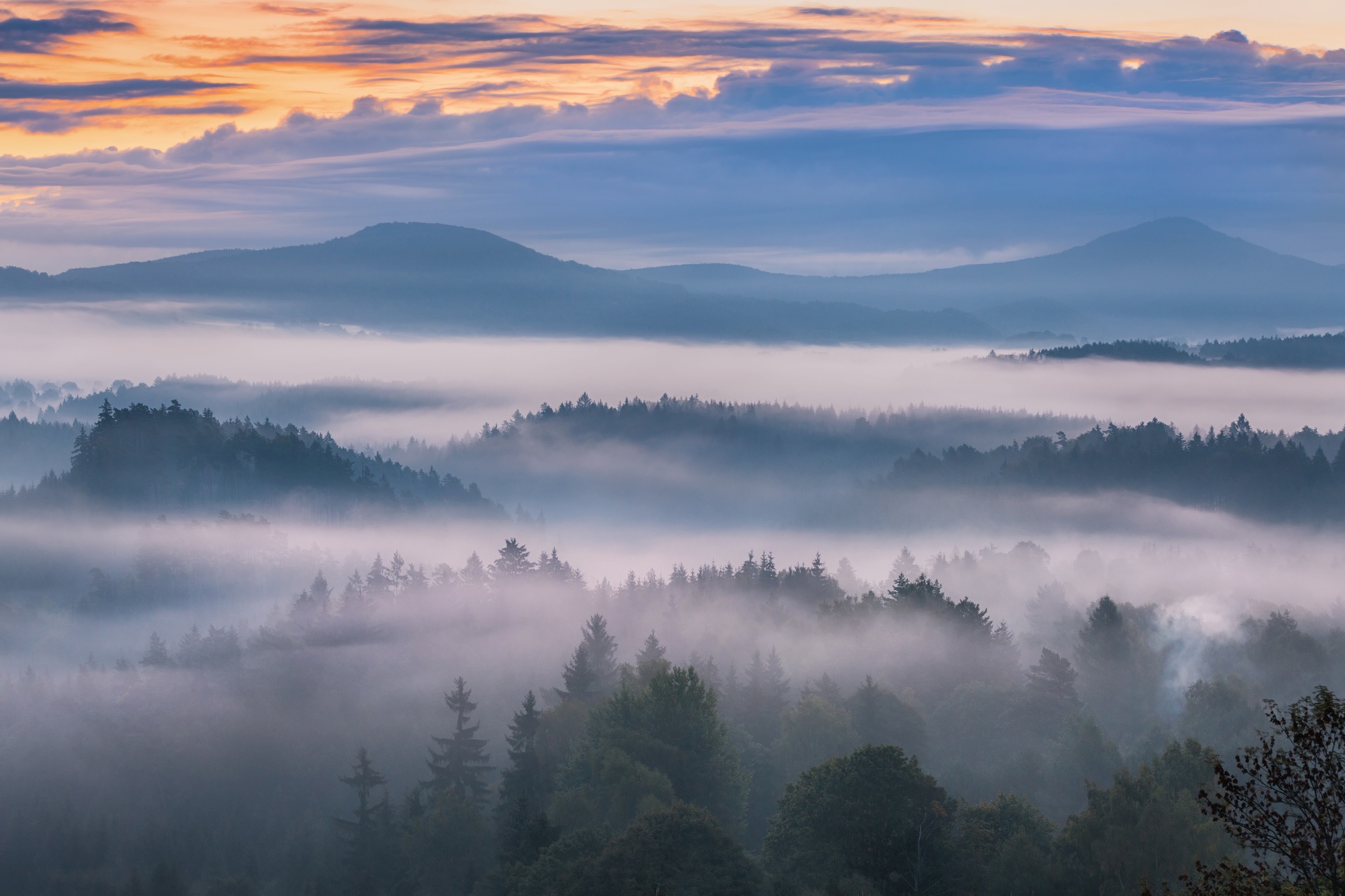 ボヘミアンスイスの霧の朝の風景　チェコの風景