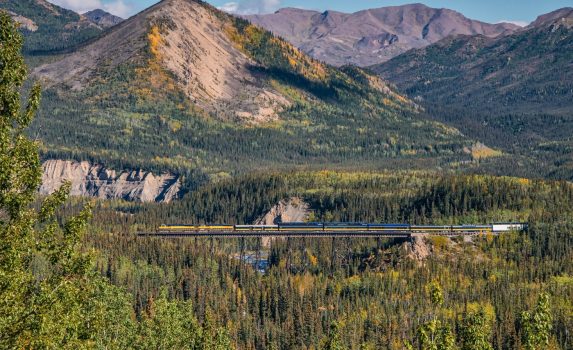 初秋のアラスカ　デナリ国立公園　秋のアメリカの風景