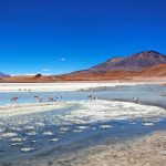 カナパ湖の風景　ボリビアの風景