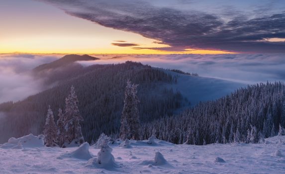 冬の夜明けの風景　ウクライナの風景