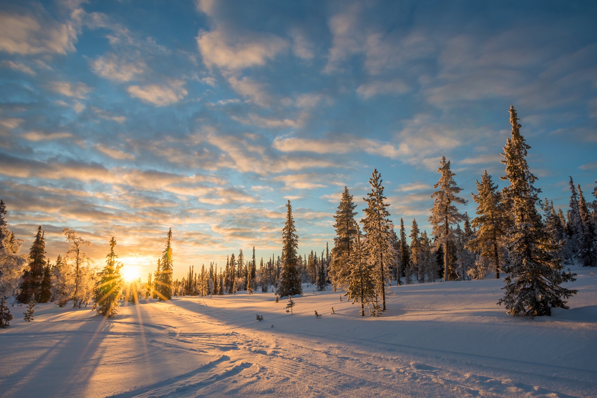 冬のラップランドの夕暮れ　サーリセルカ　フィンランドの風景