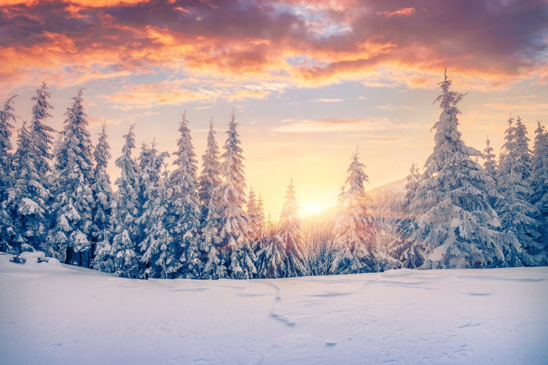 カルパティア山脈の冬の日の出の風景　ウクライナの風景