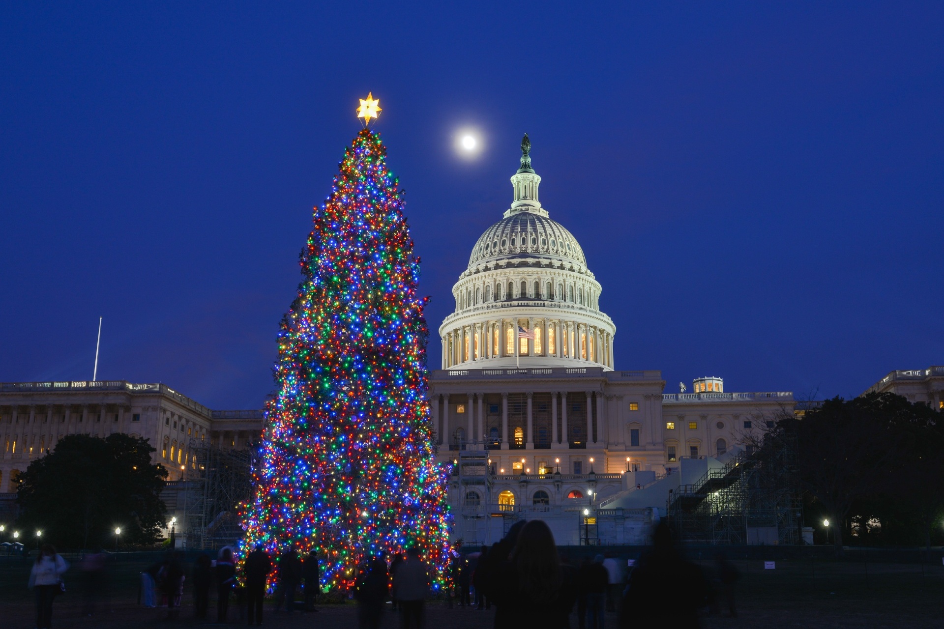 アメリカのクリスマス　ワシントンDC　アメリカの風景