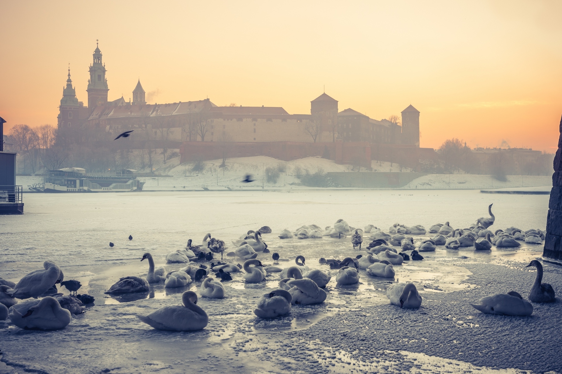 冬の朝のクラクフ　ポーランドの風景