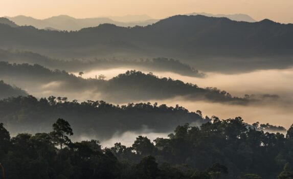 雲海の立ち込めるケーンクラチャン国立公園　タイの風景