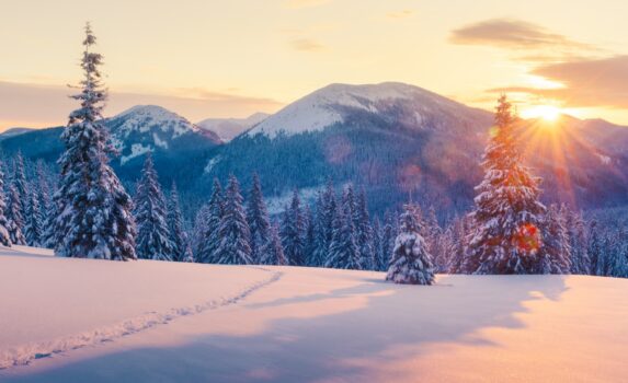 冬のカルパティア山脈　ウクライナの風景