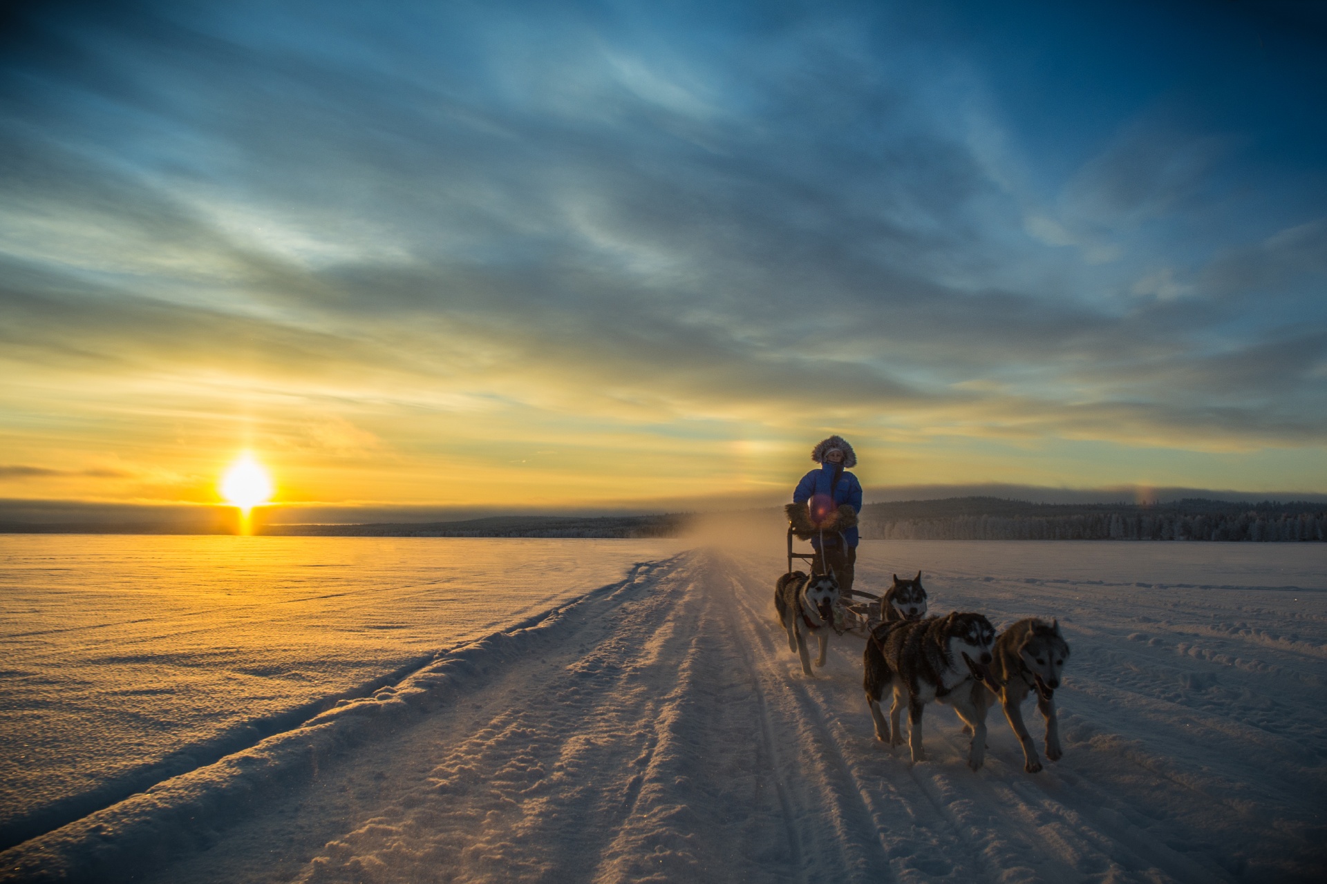 雪原を行く犬ぞり　フィンランドの風景