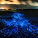 光る砂浜　モルディブの風景