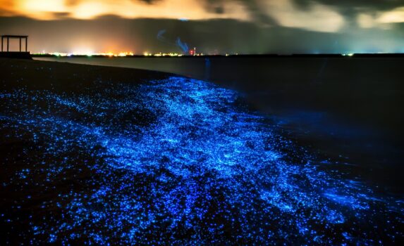 光る砂浜　モルディブの風景