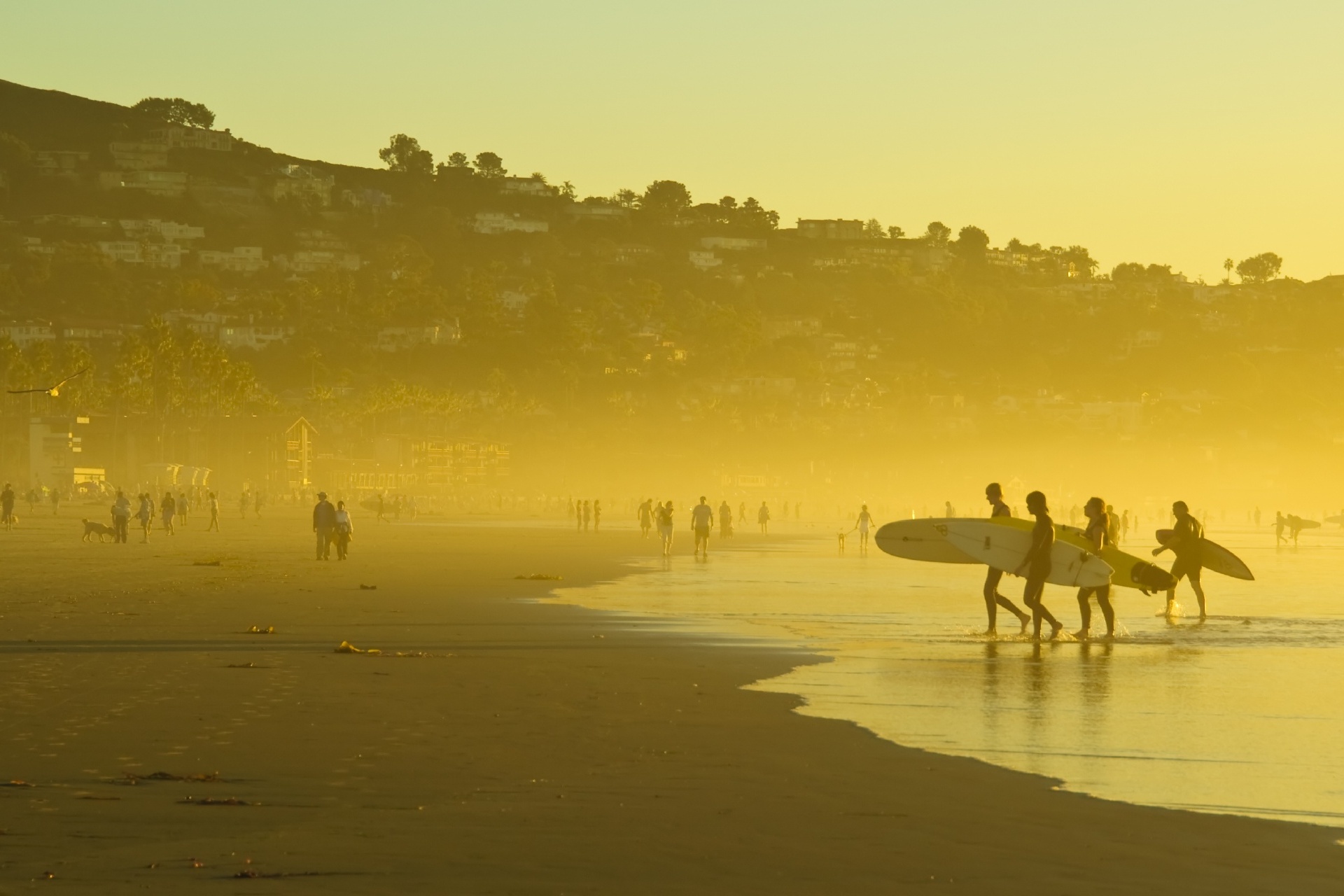 金色に輝くカリフォルニアのビーチ　アメリカの風景