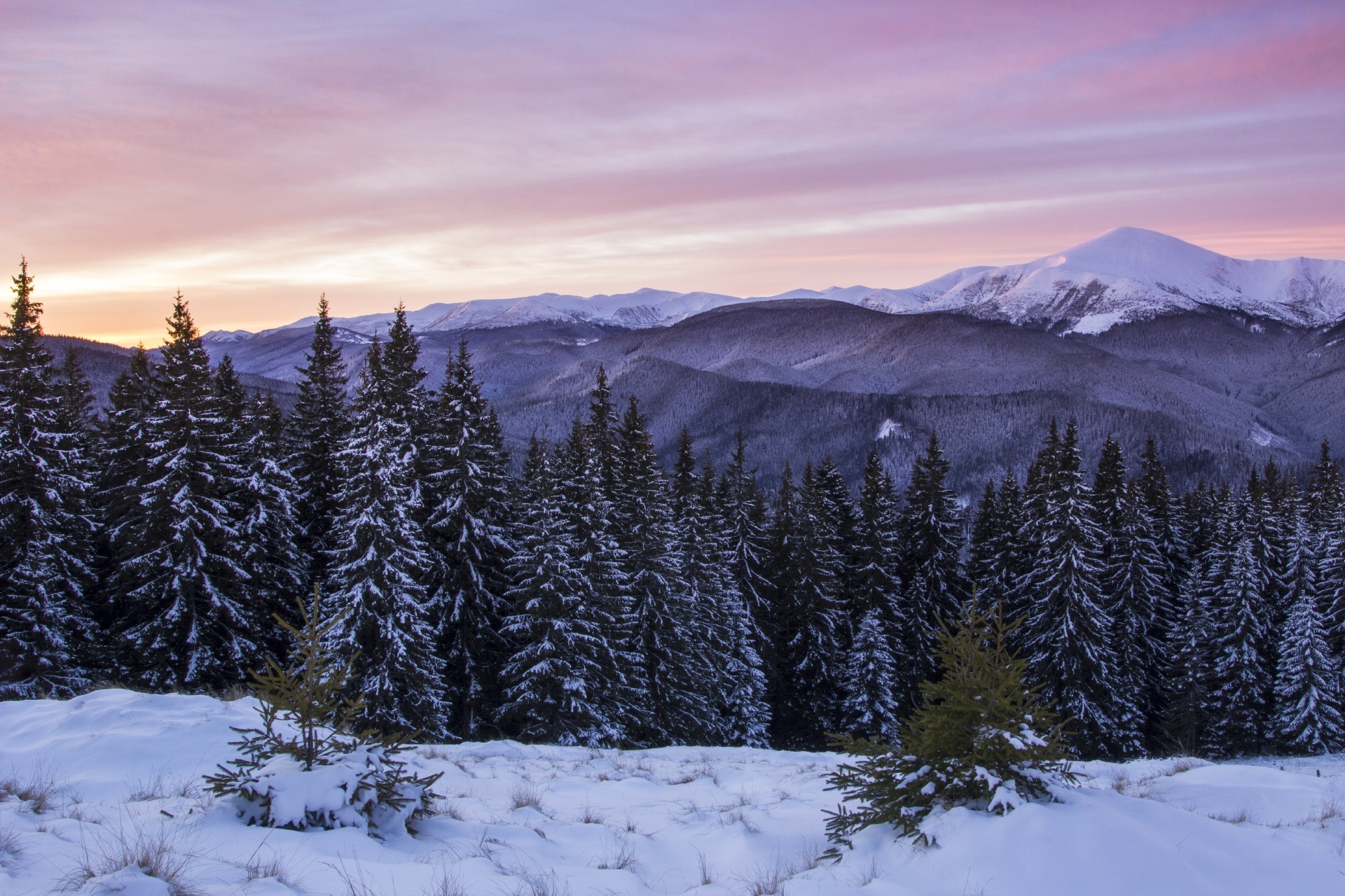 冬山の夜明けの風景　ウクライナの風景