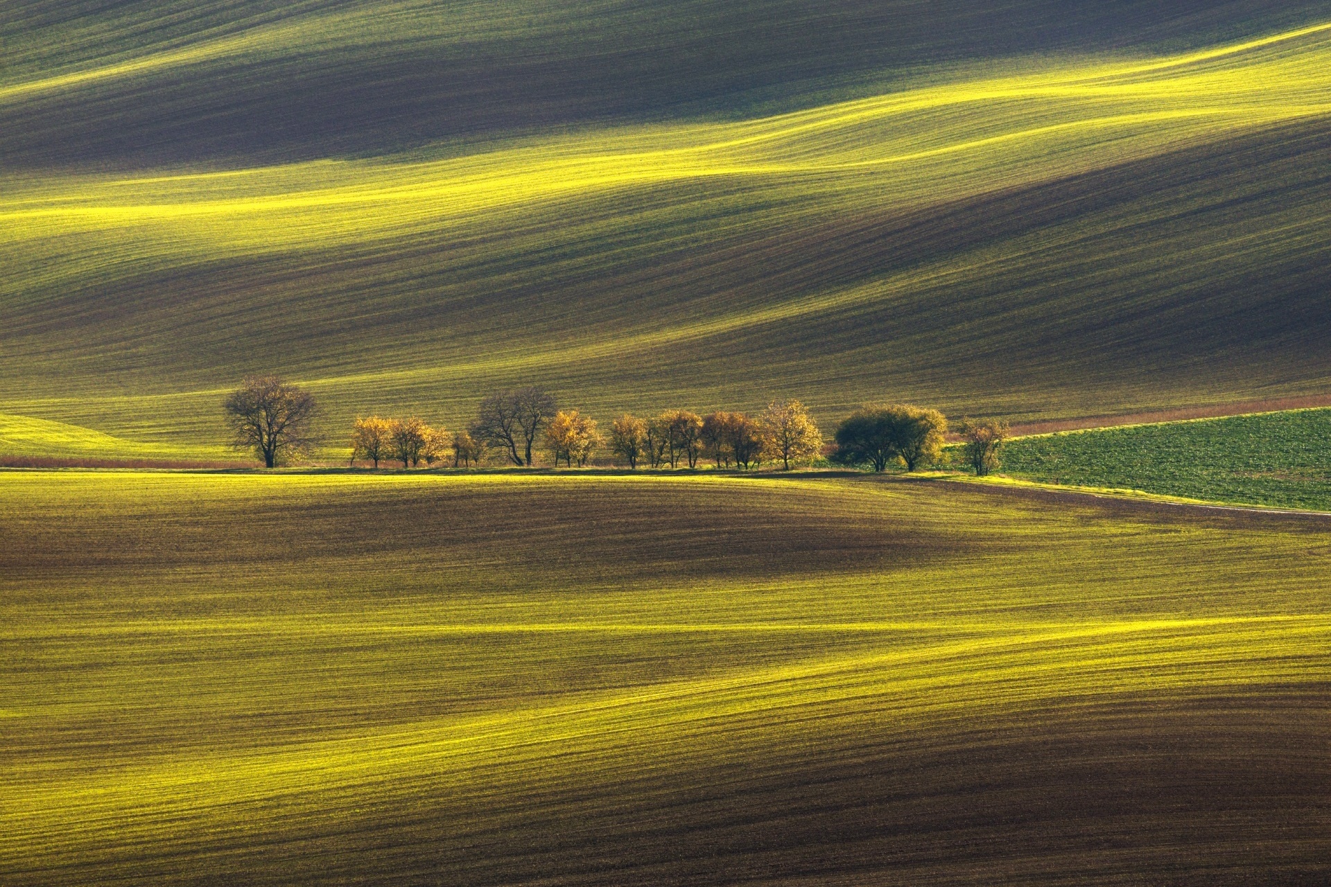 モラヴィアの草原の風景　チェコの風景