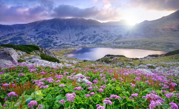 湖と山と花の風景　ルーマニアの風景