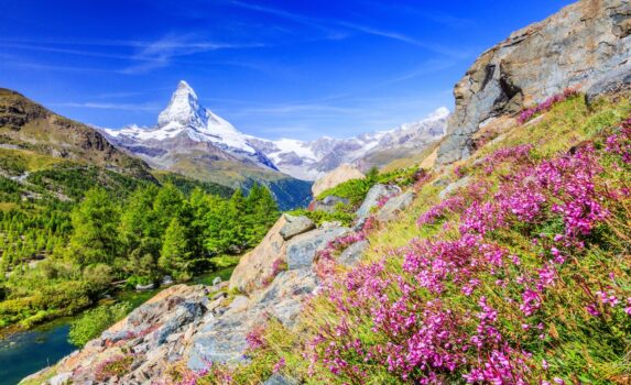 マッターホルンと花々　スイスの風景