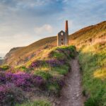 夏のコーンウォール　イギリスの風景