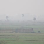 ラジギールそばの田園風景　インドの風景
