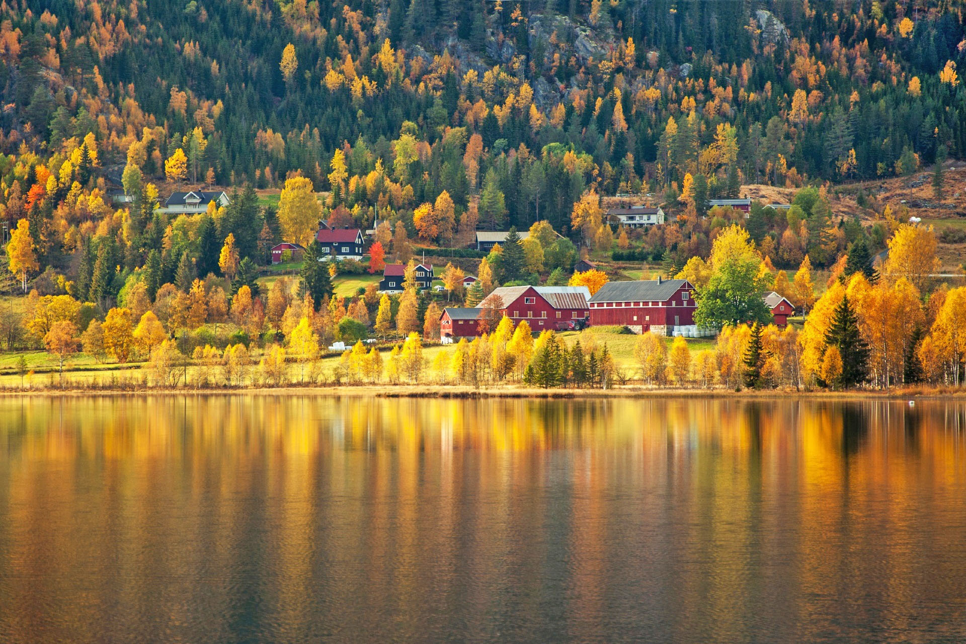 ノルウェーの秋の風景