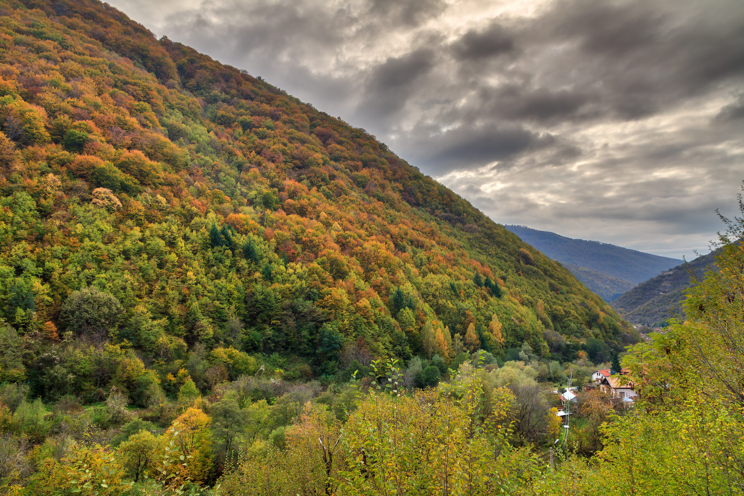 秋のリラ国立公園の風景　ブルガリアの風景