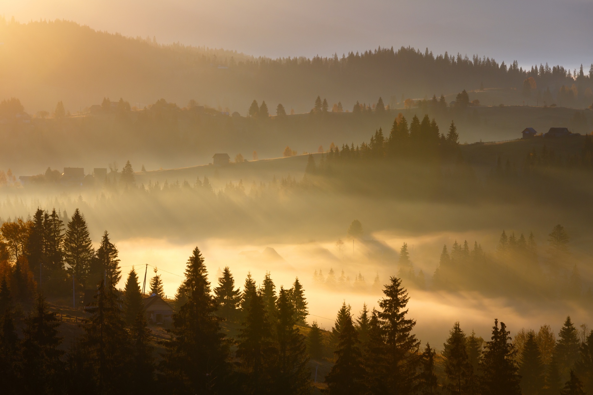 秋の朝のカルパティア山脈　ウクライナの風景