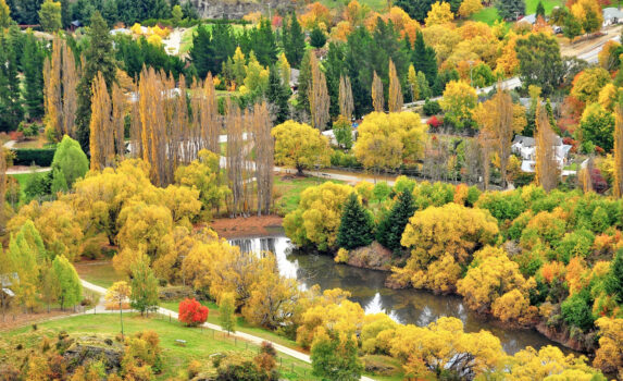 秋のニュージーランド　ニュージーランドの風景