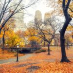 雨の朝のニューヨーク　セントラルパークの紅葉風景　アメリカの秋の風景