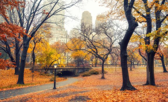 雨の朝のニューヨーク　アメリカの秋の風景