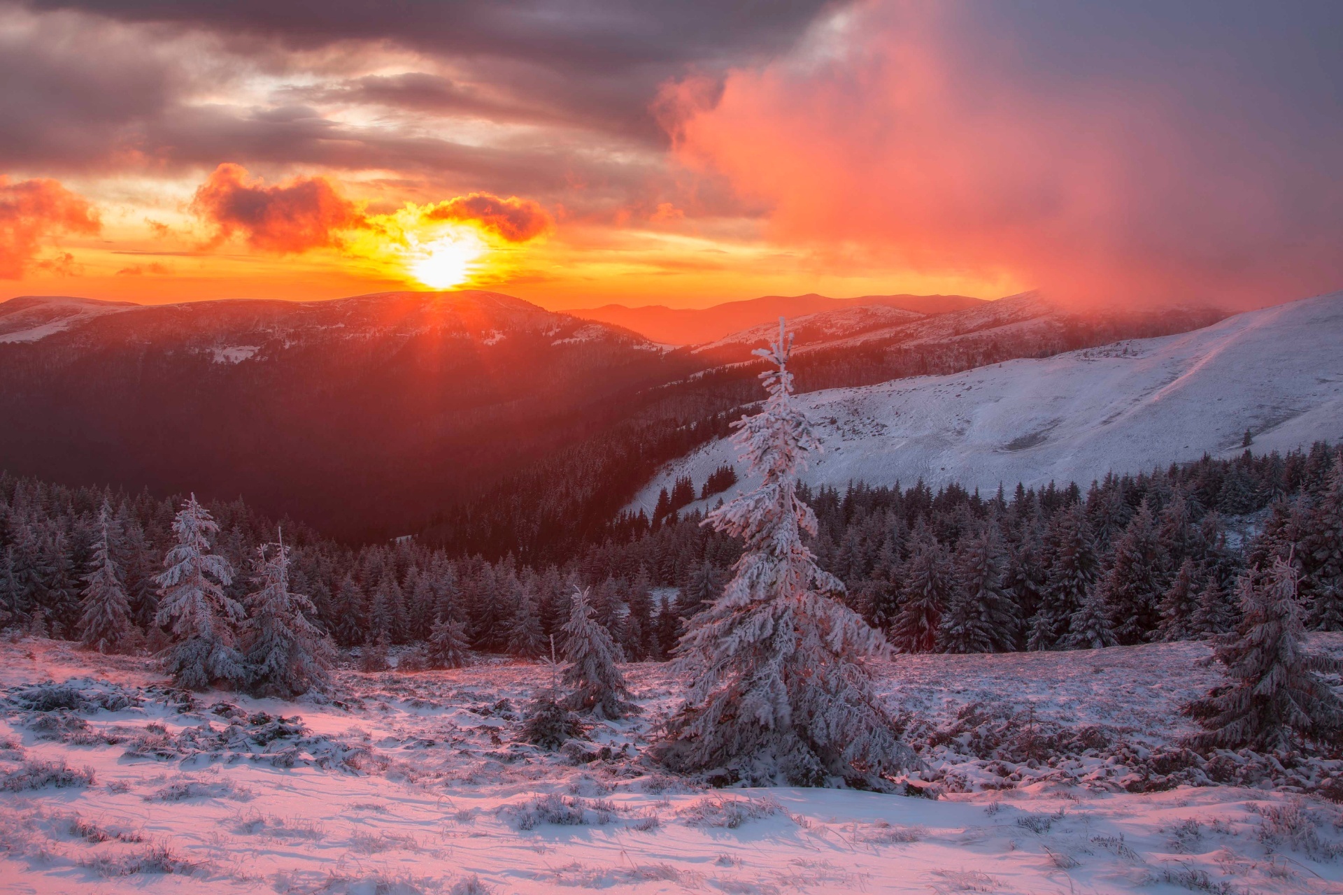 冬のカルパティア山脈の風景　ウクライナの風景